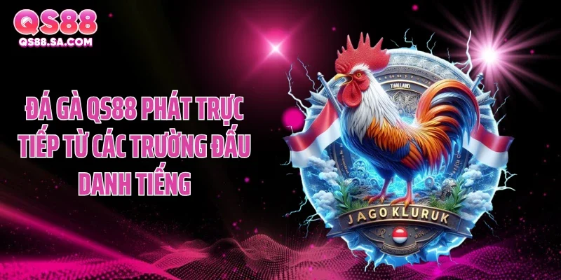 Đá gà QS88 phát trực tiếp từ các trường đấu danh tiếng