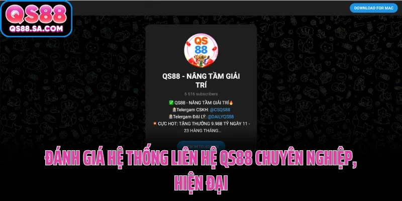 Đánh giá hệ thống liên hệ QS88 chuyên nghiệp, hiện đại
