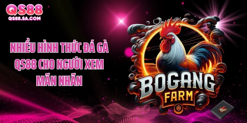 Nhiều hình thức đá gà QS88 cho người xem mãn nhãn